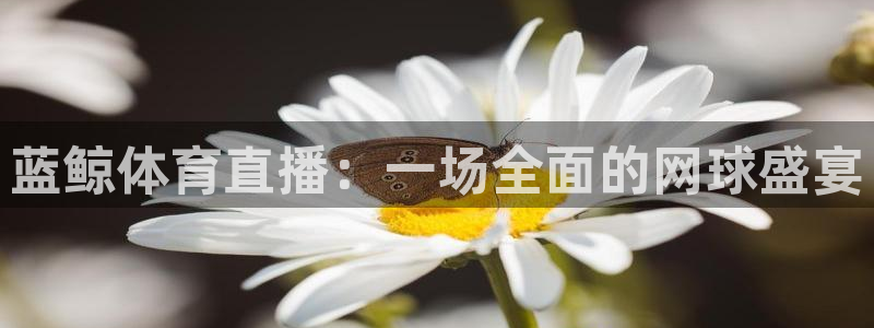 蓝鲸体育直播：一场全面的网球盛宴