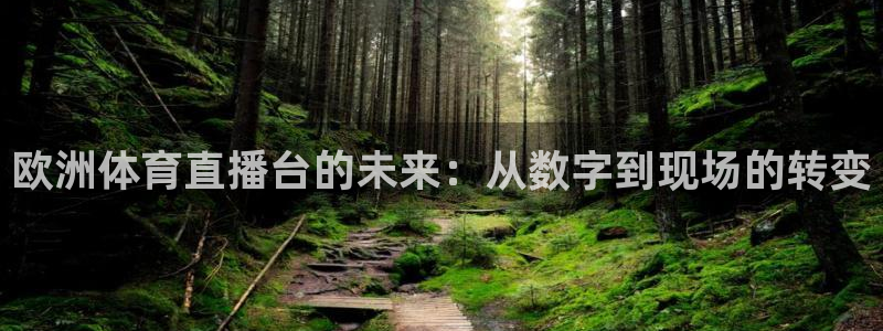 欧洲体育直播台的未来：从数字到现场的转变