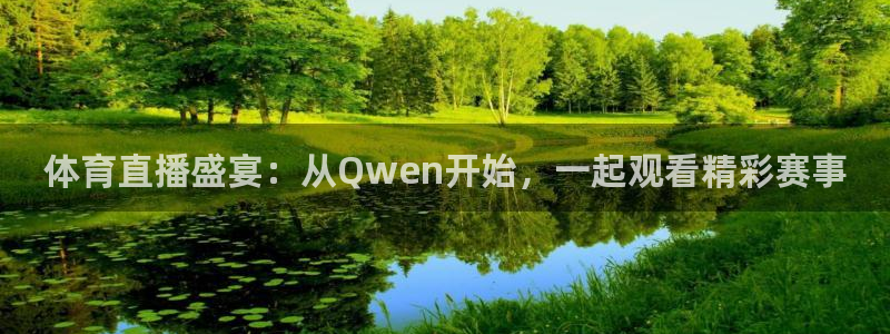 体育直播盛宴：从Qwen开始，一起观看精彩赛事