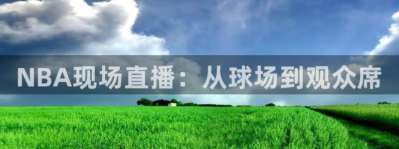 NBA现场直播：从球场到观众席
