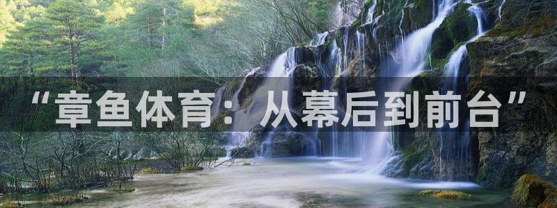 “章鱼体育：从幕后到前台”