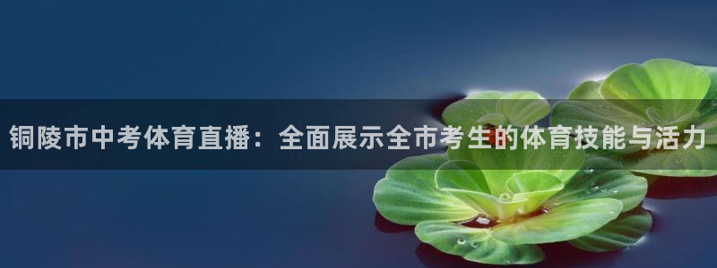 铜陵市中考体育直播：全面展示全市考生的体育技能与活力