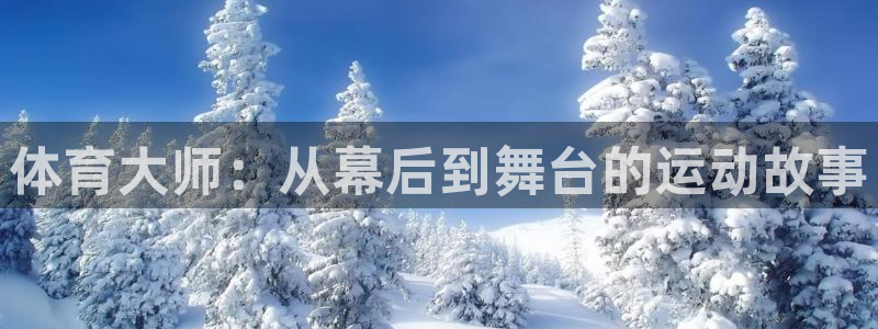 体育大师：从幕后到舞台的运动故事