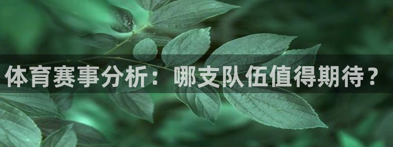 体育赛事分析：哪支队伍值得期待？