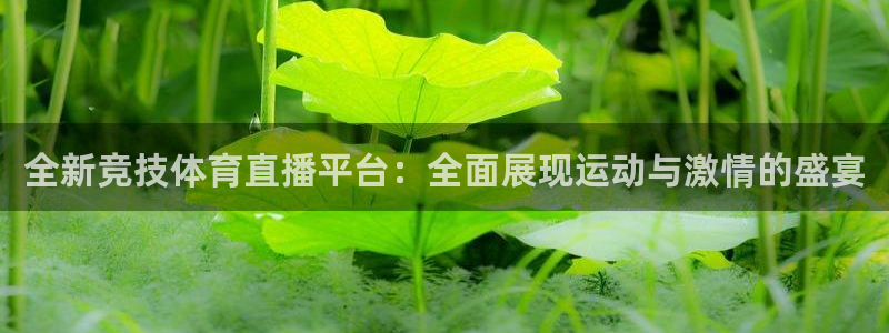 全新竞技体育直播平台：全面展现运动与激情的盛宴
