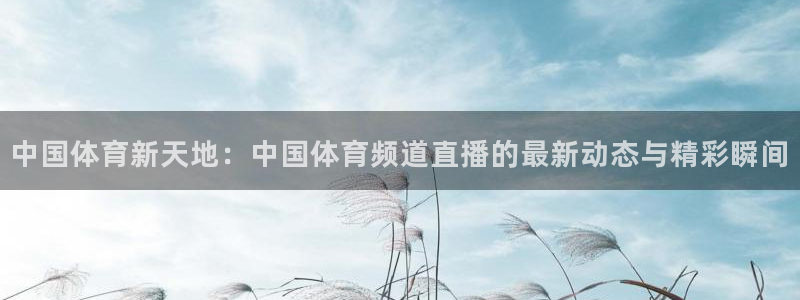 中国体育新天地：中国体育频道直播的最新动态与精彩瞬间
