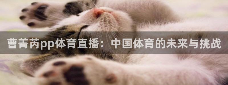 曹菁芮pp体育直播：中国体育的未来与挑战