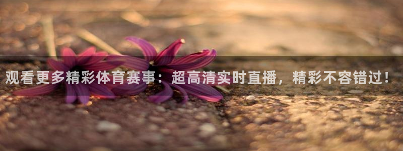 观看更多精彩体育赛事：超高清实时直播，精彩不容错过！