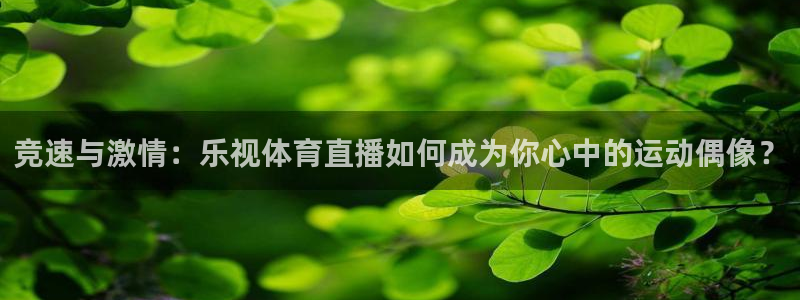 竞速与激情：乐视体育直播如何成为你心中的运动偶像？